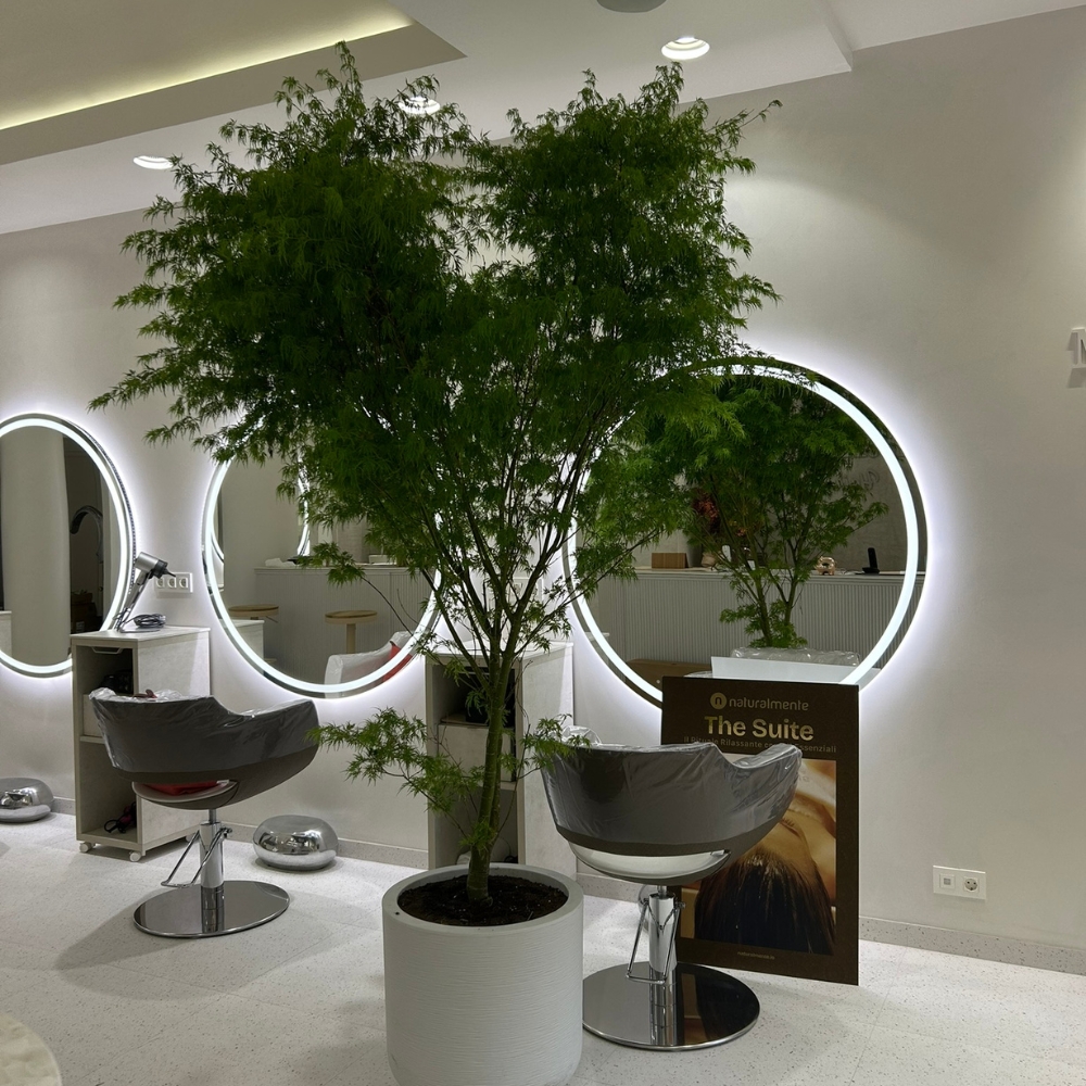 head spa bilbao hair spa (4)
